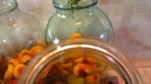 Абрикосовый компот с мятой без стерилизации! Заморозка абрикос.  Готовый десерт. Заготовки на зиму!