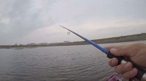 Тест Major Craft Vierra 802m