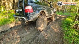 Истринское Болото - КРУТОЕ РАЗВЛЕЧЕНИЕ для внедорожников на бездорожье 4х4 покатушка Трофи-лайф 202