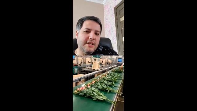 Как вытаращивают эустому (лизиантус) в Голландии, Прямой эфир - Lugt Lisianthus.