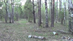 Охотникам и военным от Чёрной совы