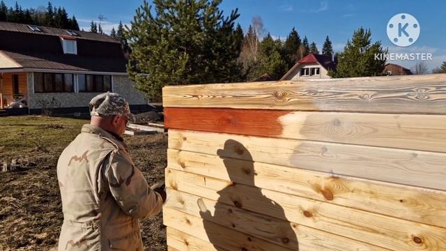 Защита сруба масловоском. Колерованный масловоск.