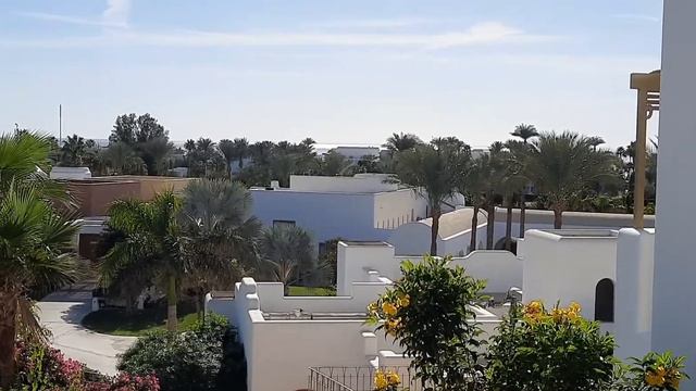 Egypt. Египет. Novotel Palm 5*. Новотель Палм 5* Sharm el-Sheikh. 19.01.2021. Вторая линия.