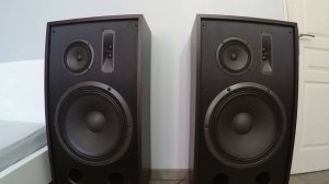 BASS Test Pro Magnat Transpuls 1500