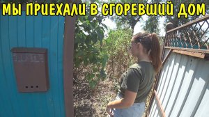 МЫ ПРИЕХАЛИ В СГОРЕВШИЙ ДОМ / СЪЕЗДИЛИ В БОЛЬНИЦУ / ВЫСТАВИЛИ МАЯКИ ДЛЯ ЗАЛИВКИ БЕТОНА / ВЛОГ