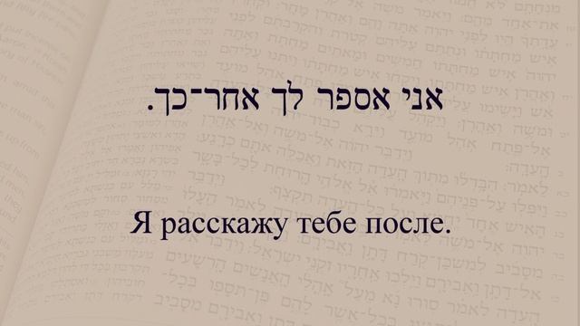 Глаголы в иврите. Глагол 160 "Рассказать". Спряжение глаголов в предложениях. смотреть онлайн