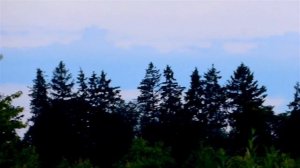 Футаж Самолет. Видео Самолет в Небе Идет на Посадку. Футаж Самолет в Небе. Футажи для видеомонтажа