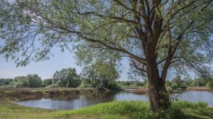 "ПОТИХОНЬКУ ЛЕТО ПРИШЛО".... (Фото Виктора Руденко (Йошкар-Ола), музыка Рихарда Вагнера)