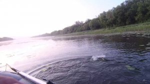 За щукой на неотгруженную резину в кувшинках.