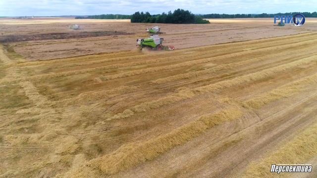 Гродненский район: главные события 2022 года