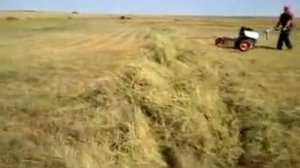 Грабли для мотоблока МБ