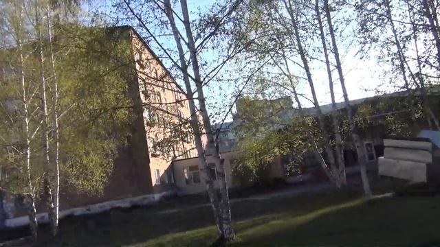 Береза появились листья 20 мая лесосибирск 2019 весна смотреть онлайн