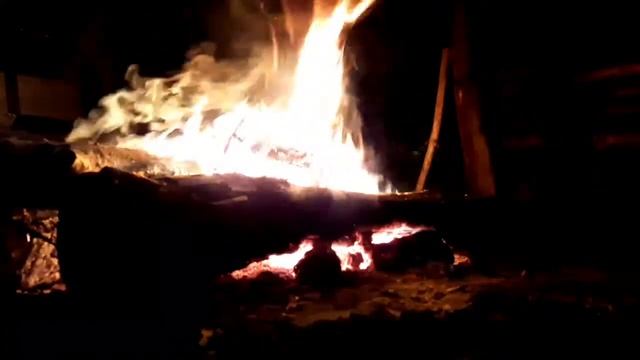 Трип в Самарский лес. Днепр, область. смотреть онлайн