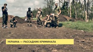 Украина – рассадник криминала