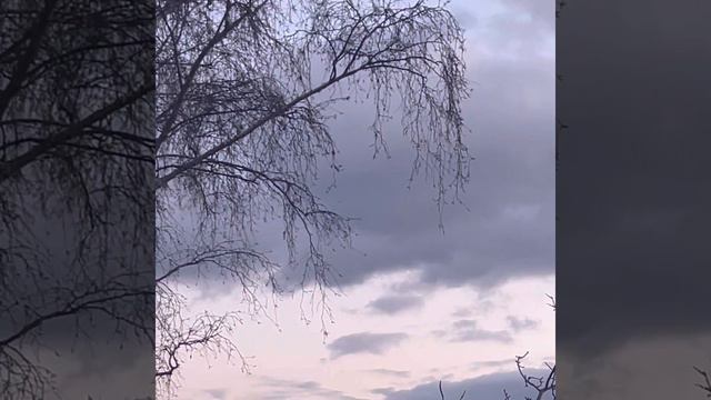 euthanasia will wood piano cover :) смотреть онлайн