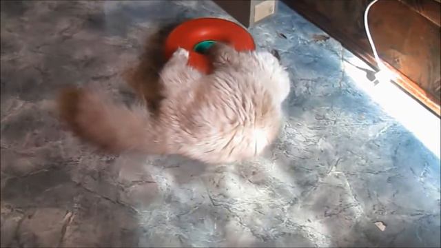 9,13 августа 2013. Игры моих деток. смотреть онлайн