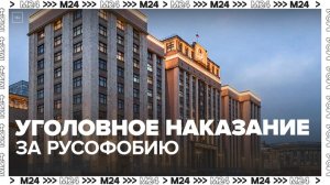В Госдуме предложили ввести уголовное наказание за русофобию - Москва 24