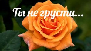 Ты не грусти, что жизнь так быстро мчится - христианская песня.