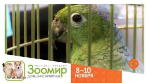 Выставка "Зоомир 2019"