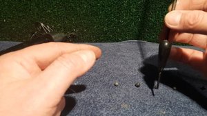 Как правильно собрать удочку с скользящим поплавком на весеннего карася.