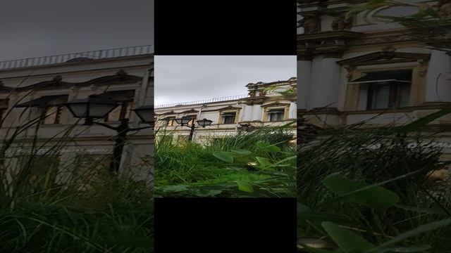 Цветочный фестиваль. Кузнецкий мост. Водяные растения