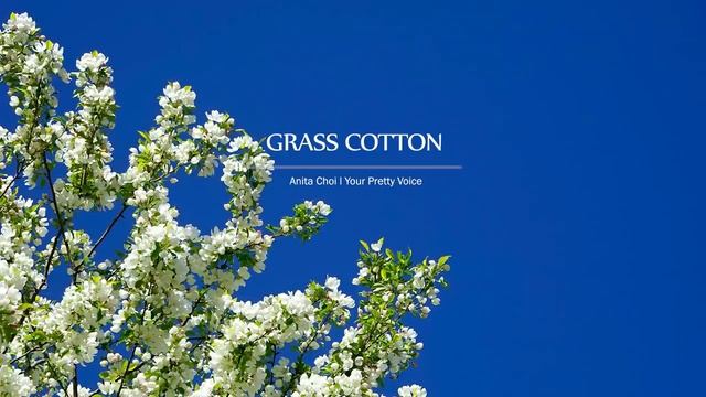 Нежная романтичная инструментальная музыка. Музыка для создания атмосферы, настроения, удовольствия. смотреть онлайн