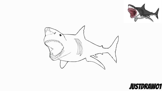How To Draw Megalodon | Step By Step