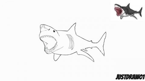 How To Draw Megalodon | Step By Step