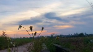 Buddha's Flute | Tranquil Flute 2  | Music for Meditation & Zen