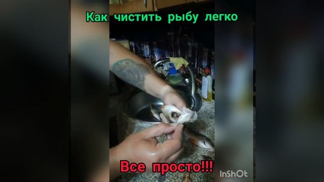 как легко чистить рыбу. окунь, улов, таранка смотреть онлайн