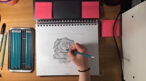 Drawing with INVERT COLORS - Rose Speed Paint