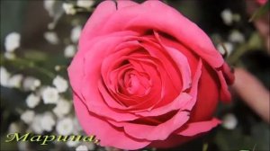 С Днем Рождения Марина!!!