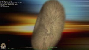 Тест Zotac GeForce GTX1050Ti 4GB в Furmark