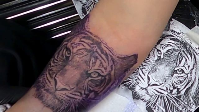 Tiger tattoo  real time
