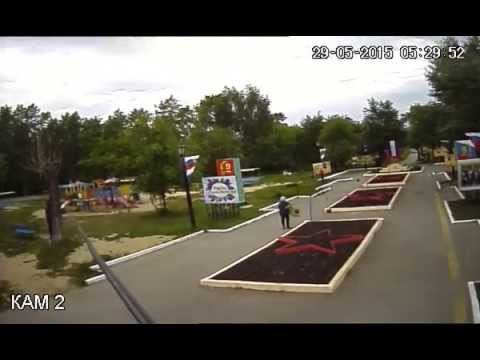 Воровка цветов в парке г. Тавды смотреть онлайн