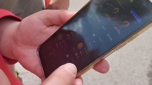 Вы играете в хомяка? Уличный опрос. Сколько у вас доход в час в Хамстер комбат (Hamster Combat)