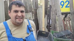 Красное вино как сделать, из своего винограда.