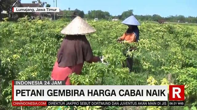 Ratusan Massa Demo Tuntut Sambo Dihukum Maksimal | REDAKSI PAGI (15/09/22) смотреть онлайн