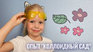 Соня выращивает сад в пробирке! Опыт №6  "Коллоидный сад "