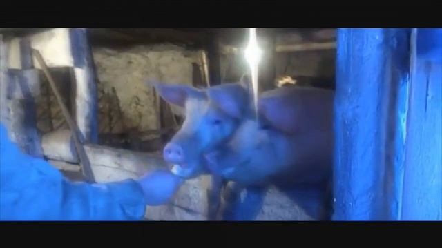 Что на самом деле имеет значение в жизни? - Амиран Сардаров смотреть онлайн