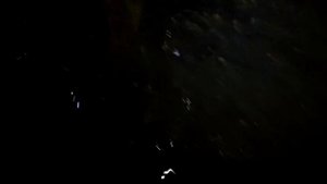 Как поймать раков осенью | Наловили раков и выпустили в оз. Шарташ