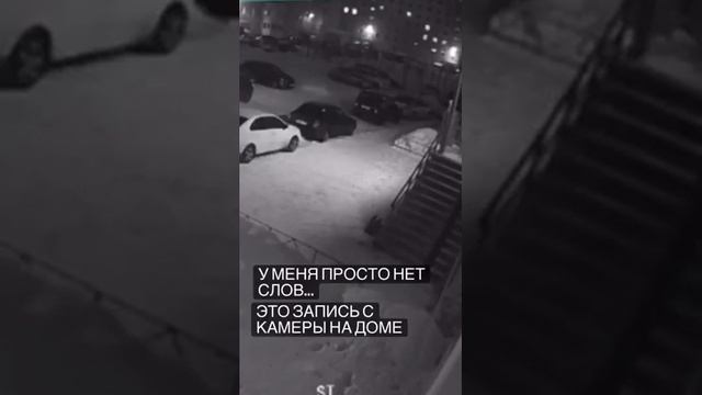 собаку скинули с окна многоэтажки смотреть онлайн