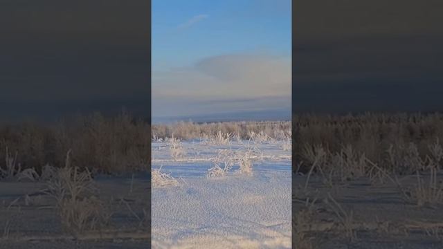 В Ломоносовском районе неделю тушат незаконную свалку.