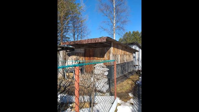 Дача на Большой Кудьме Средний 3 смотреть онлайн