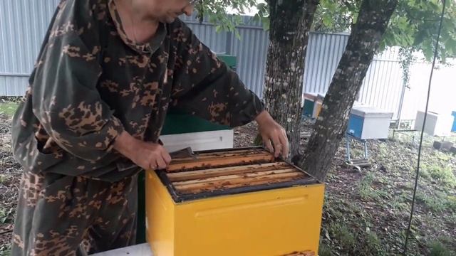 Карника Лунц на тесте и вообще про карнику смотреть онлайн