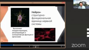 Общая физиология ЦНС. Онлайн лекция профессора Хамчиева К.