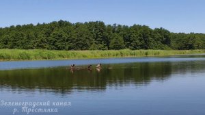 Зеленоградский канал | река Тростянка | Зеленоградск