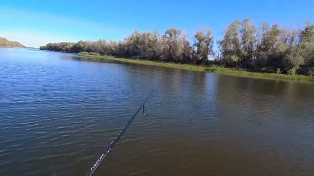 Rapala Rattlin Minnow Spoon неожиданно приятно удивила по щуке в густой траве Savage Gear 3D Duck смотреть онлайн