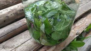 ?☘️ ТРАВЯНОЙ КВАС | РЕЦЕПТ ЛЕТНЕЙ СУРИЦЫ | НАПИТОК ПРЕДКОВ