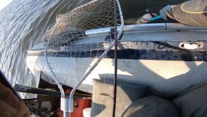 Как подобрать спиннинг для троллинга и поймать щуку.  Ловля щуки зимой.